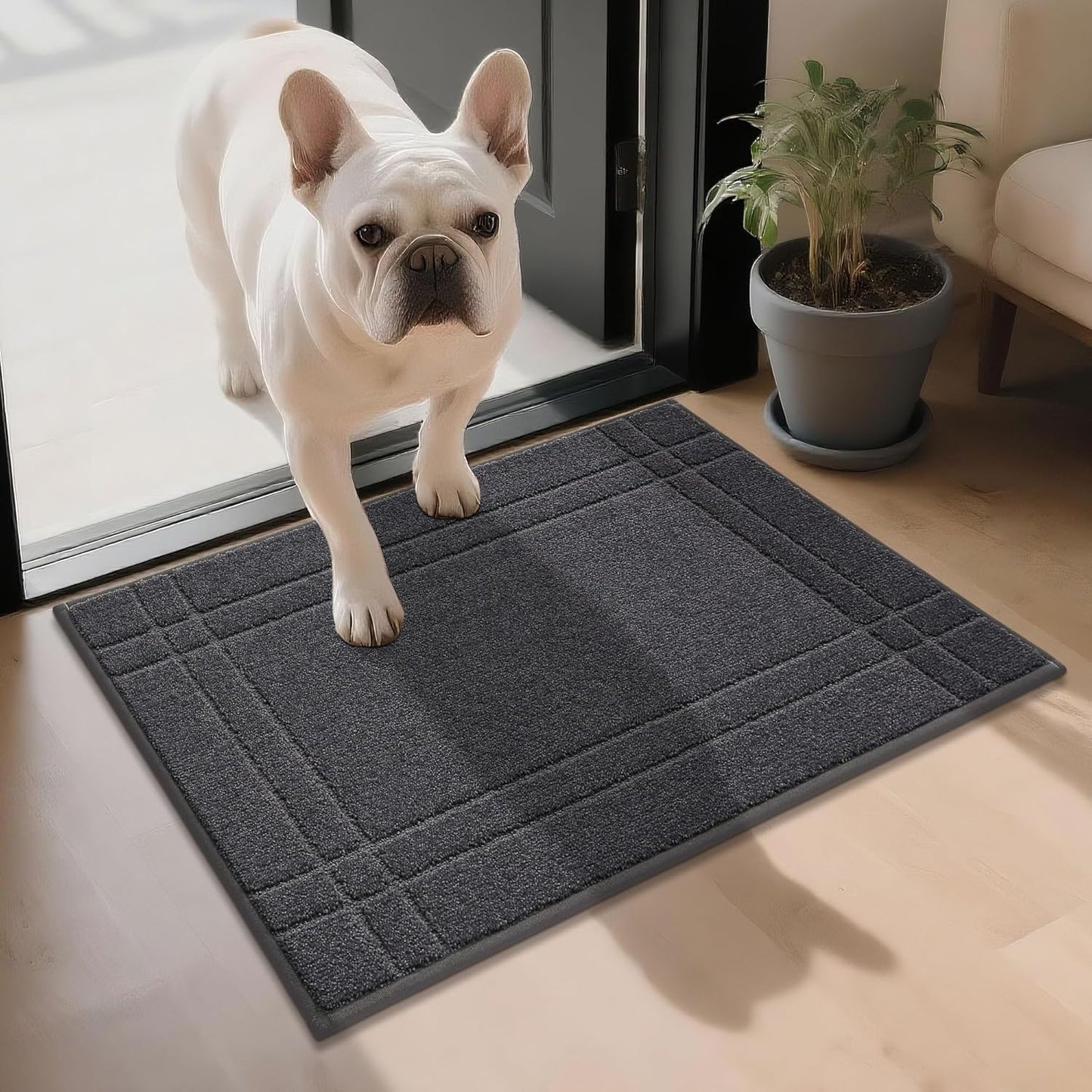 Entryway Rugs Doormat 20"X32", Non-Slip Dirt Trapper Door Mats Indoor, Washable Absorbent and Stain Resist Welcome Floor Mat for Front Door, Dog Door Mat, Muddy Wet Shoes & Paws, Dark Grey