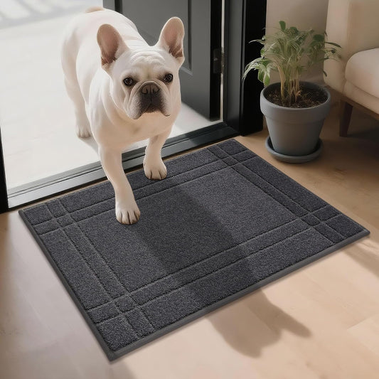Entryway Rugs Doormat 20"X32", Non-Slip Dirt Trapper Door Mats Indoor, Washable Absorbent and Stain Resist Welcome Floor Mat for Front Door, Dog Door Mat, Muddy Wet Shoes & Paws, Dark Grey
