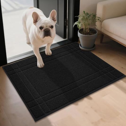 Entryway Rugs Doormat 24"X36", Non-Slip Dirt Trapper Door Mats Indoor, Washable Absorbent and Stain Resist Welcome Floor Mat for Front Door, Dog Door Mat, Muddy Wet Shoes & Paws, Black