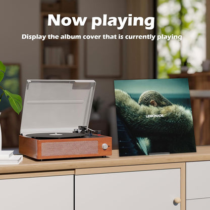 6 Pack Vinyl Record Stand Display, Clear Acrylic Tabletop Album Now Playing Holder, Album Record Holder LP Vinyl Record Storage Display Stand