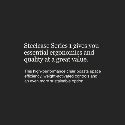 Series 1 Office Chair - Ergonomic Work Chair with Wheels for Carpet - Helps Support Productivity - Weight-Activated Controls, Back Supports & Arm Support - Easy Assembly - Graphite