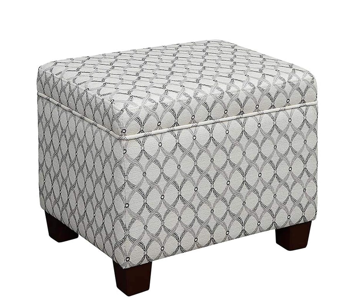 Madison Storage Ottoman 21.75" - Modern Upholstered Footstool & Seat with Hinged Lid for Transitional Living Room, Bedroom, Hallway, & Entryway, Ribbon Pattern Fabric