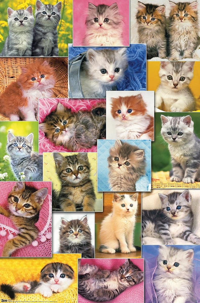 Keith Kimberlin - Kittens Collage Wall Poster, 22.375" x 34", Premium Unframed Version