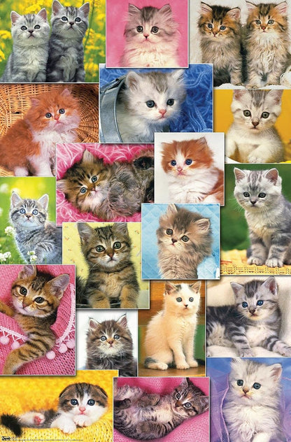 Keith Kimberlin - Kittens Collage Wall Poster, 22.375" x 34", Premium Unframed Version