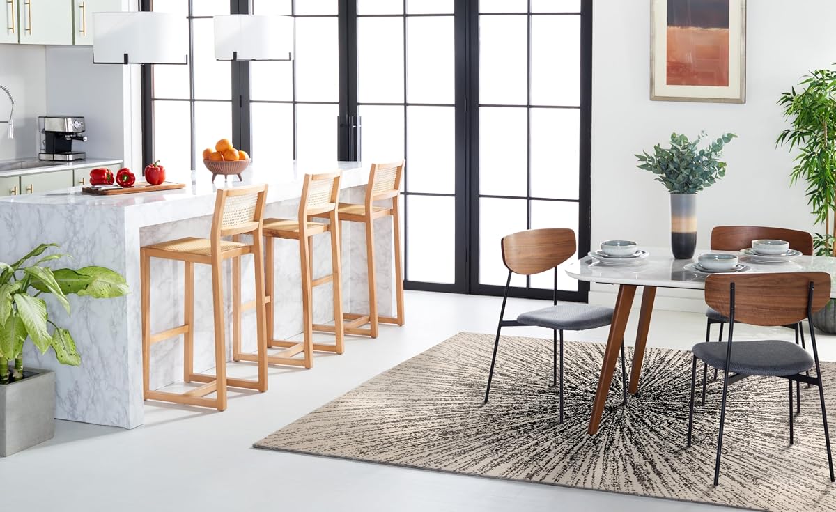 SAFAVIEH Evoke Collection Area Rug - 9' x 12', Black & Ivory, Abstract Burst Design, Non-Shedding & Easy Care, Ideal for High Traffic Areas in Living Room, Bedroom (EVK228K)