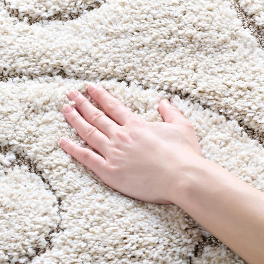 SAFAVIEH Florida Shag Collection Accent Rug - 3'3" x 5'3", Cream & Beige, Scroll Design, Non-Shedding & Easy Care, High-Low Plush Pile, Ideal for Living Room, Bedroom, Dining Space (SG455-1113)