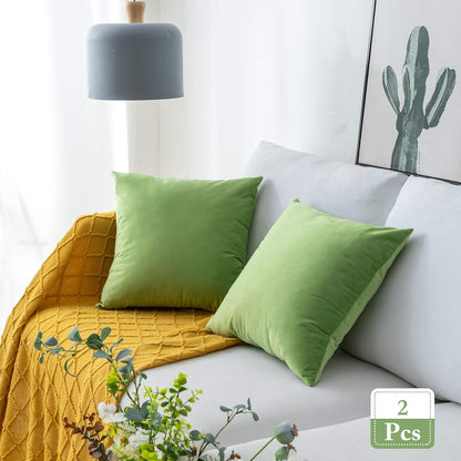 Pack of 2 Velvet Pillow Covers Square Decorative Cushion Covers for Bed Couch Sofa Bench, 20 x 20 inch (50 x 50 cm), Apple Green