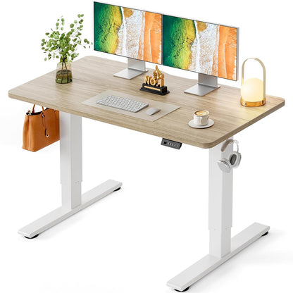 Electric Standing Desk 48 x 24 Inch