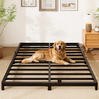 Queen Bed Frame, 4 Inch Low Profile Metal Platform Bed with Round Legs
