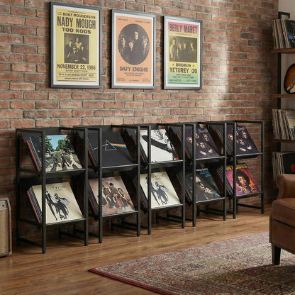 Conceptual Design Vinyl Record Storage, 2 Tier Black Metal Record Holder, Stylish Storage Solution for Your Collection