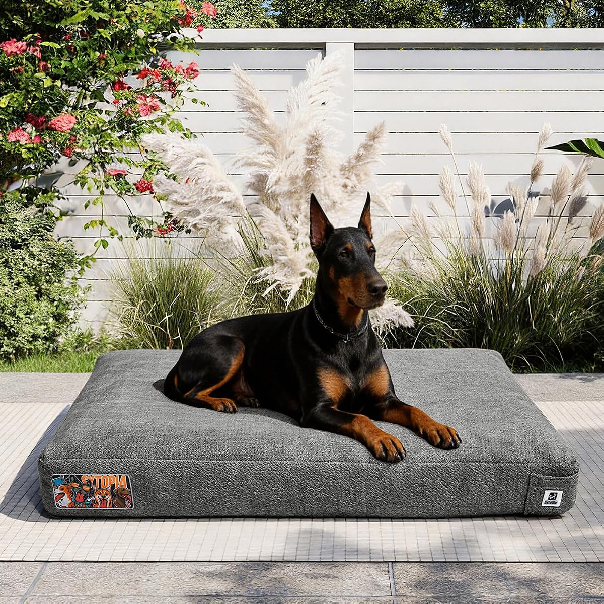 42 Inch Indestructible Dog Bed for Extra Large Sized Dogs