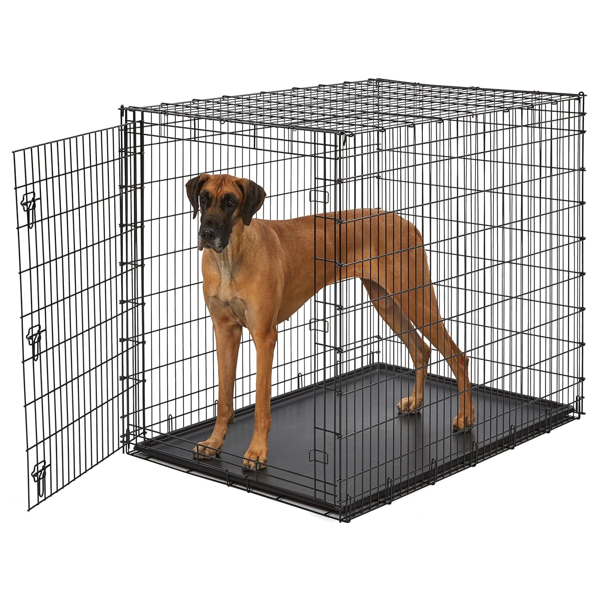 Solutions by Midwest 54-Inch Single Door Crate, Giant Breed Dogs, 100+ lbs