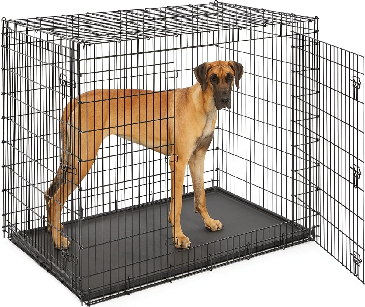 Solutions by Midwest 54-Inch Double Door Crate, Giant Breed Dogs, 100+ lbs