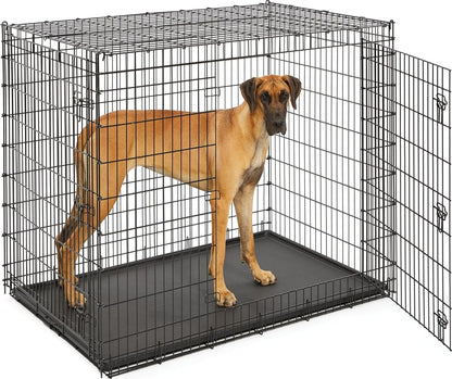 Solutions by Midwest 54-Inch Double Door Crate, Giant Breed Dogs, 100+ lbs