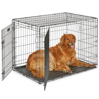 Midwest 42-Inch Double Door iCrate, for Large Breeds, 71-90 lbs