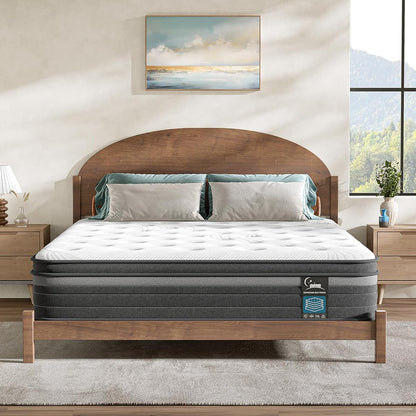 Queen Mattress 10 Inch Hybrid Mattress in a Box