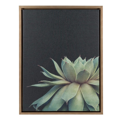Sylvie Succulent Plant Framed Canvas Wall Art, Botanical Green with Black Background, 18x24 Gold