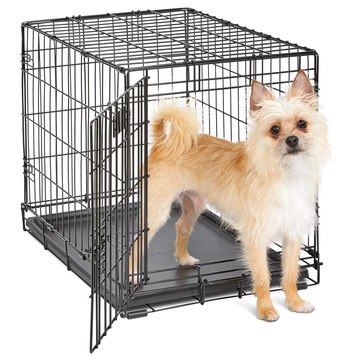 Midwest 24-Inch Single Door iCrate, for Small Breeds, 12-20 lbs
