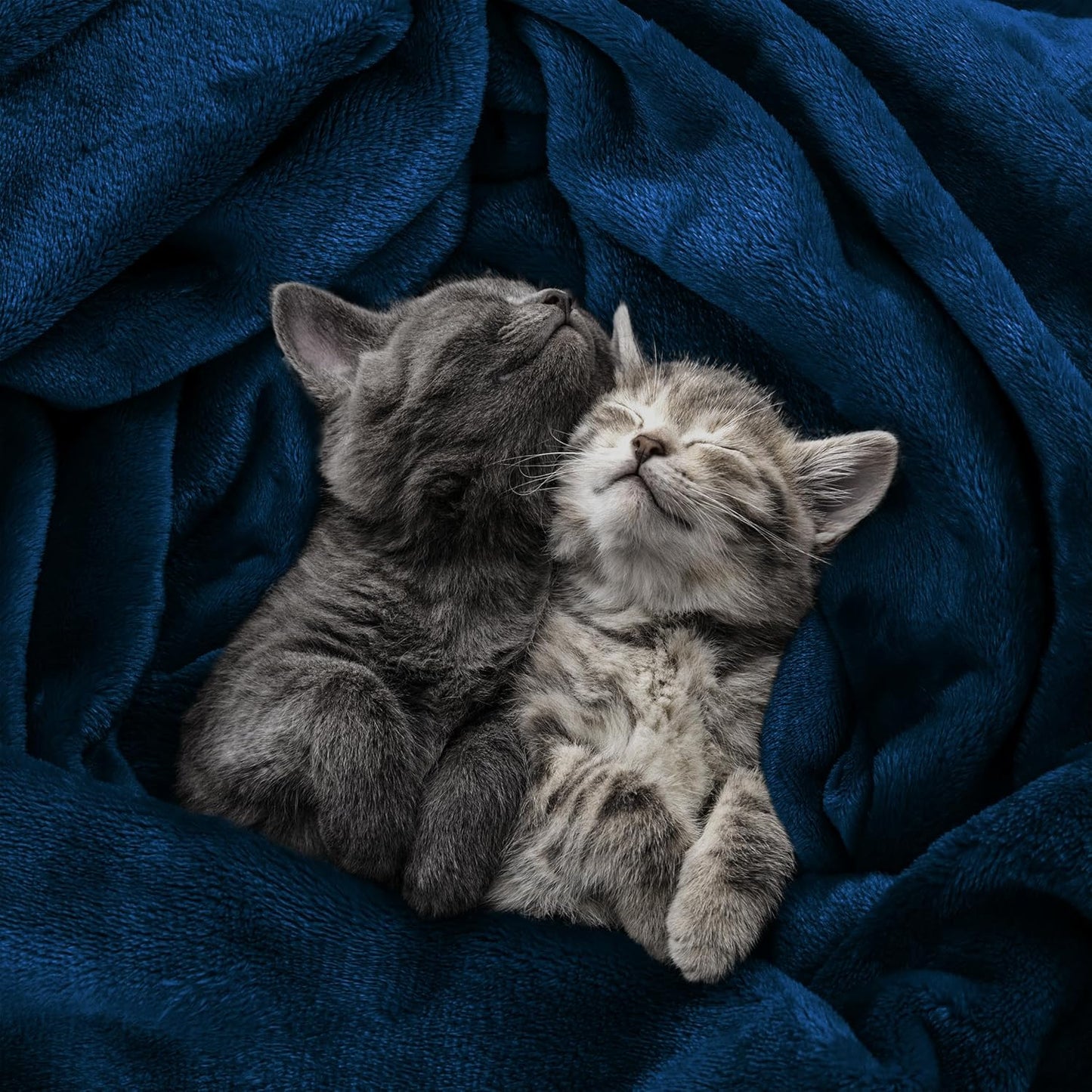 Fleece Blanket Queen Size Navy 300GSM Luxury Anti-Static Fuzzy Soft Microfiber Bed Blanket (90X90 Inch)