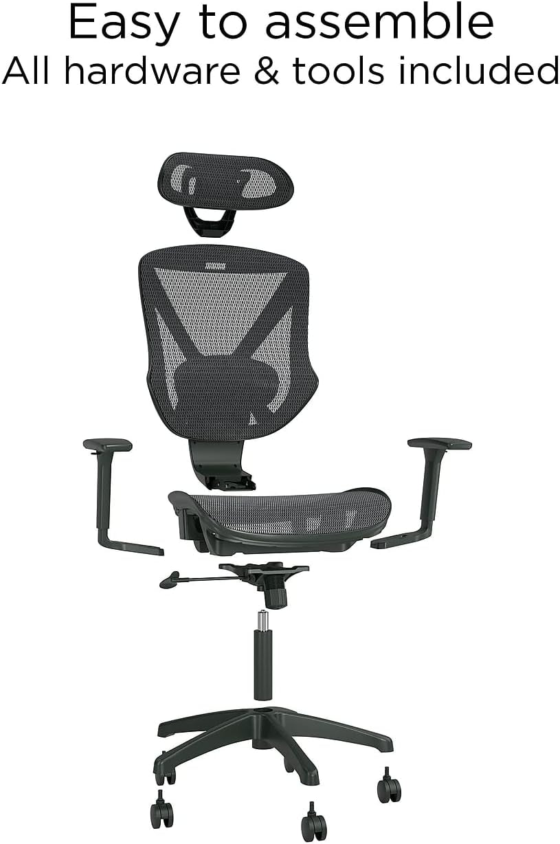 Dexley Ergonomic Mesh Swivel Task Chair, Black (UN56946)