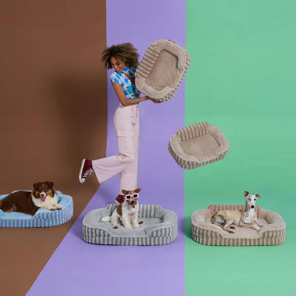 Cute Dog Bed Medium Size Dog, Orthopedic Waterproof Medium Pet Beds with Sides, High Back Non-Slip Bottom and Egg-Crate Foam Pet Couch Sofa with Washable Removable Cover, Grey