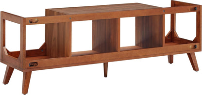 Asheville Mid-Century Modern Media Console Record Player Stand, Storage for Vinyl Records, Walnut