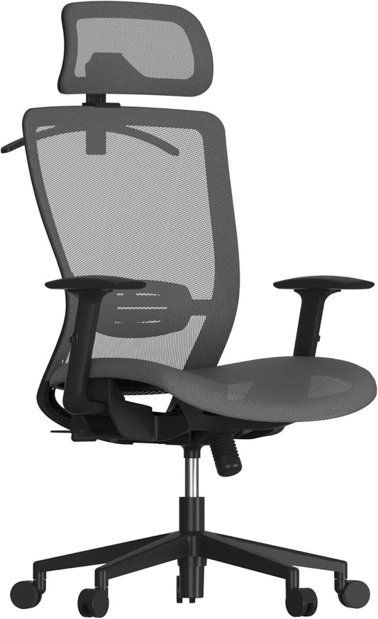 Ergonomic Office Chair, High Back Mesh Swivel Computer Chair, Executive Office Desk Chairs, with Adjustable Lumbar Support/2D Headrest/Lockable Backrest, OC3 Mesh Seat, Gray