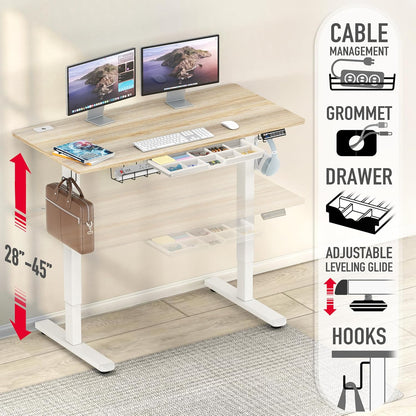 48-Inch Electric Height Adjustable Standing Desk with Drawer, Memory Preset and Cable Management Tray, Maple