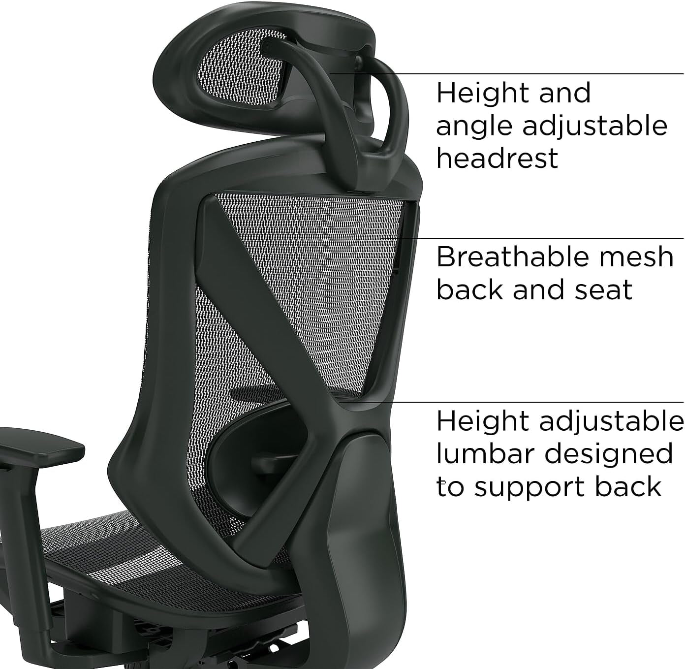 Dexley Ergonomic Mesh Swivel Task Chair, Black (UN56946)