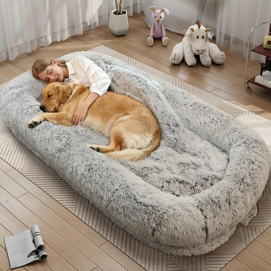Human Dog Bed for Adults, 46 X 10 X 76 Long Human Size Dog Bed, Removable Cover, Orthopedic Design, Light Grey
