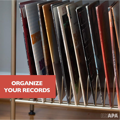 2-Tier Record Player Stand - Gold Metal Vinyl Records Stand with Shelves - Vinyl Player Table with 14 Slots