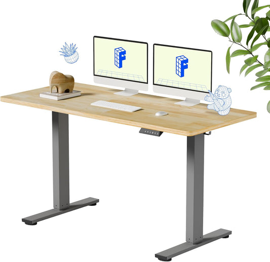 EN1 One-Piece Solid Wooden Standing Desk 55 X 24 Inches Height Adjustable Electric Sit Stand Home Office Desks (Silver Frame + Rubber Wood Top, 2 Packages)