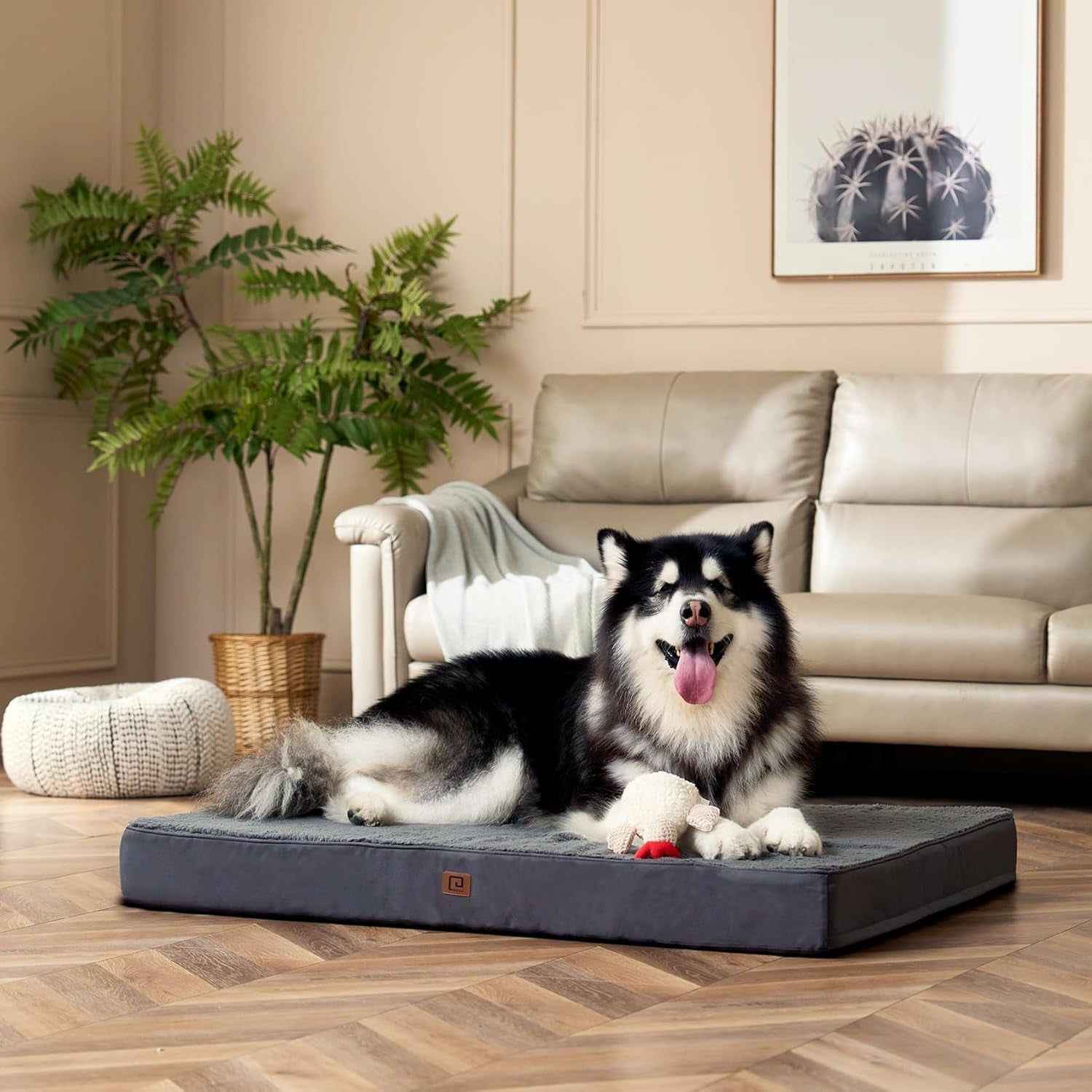 Orthopedic XL Dog Beds for Extra Large Dogs with Removable Washable Cover for Crate, Grey, 41X27