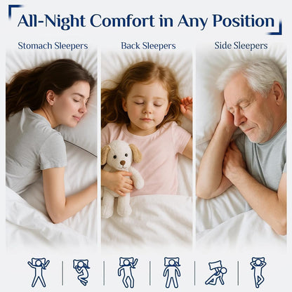King Size Pillows Set of 2 for Sleeping, Soft and Supportive Bed Pillows with down Alternative Filling for Side and Back Sleepers, Hotel Collection