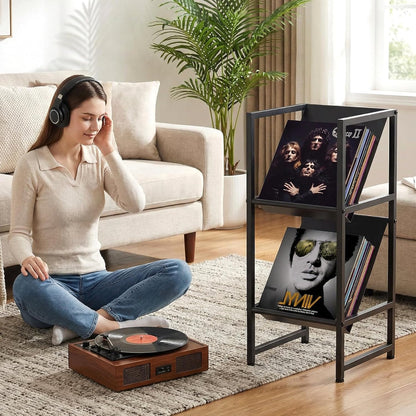 Conceptual Design Vinyl Record Storage, 2 Tier Black Metal Record Holder, Stylish Storage Solution for Your Collection