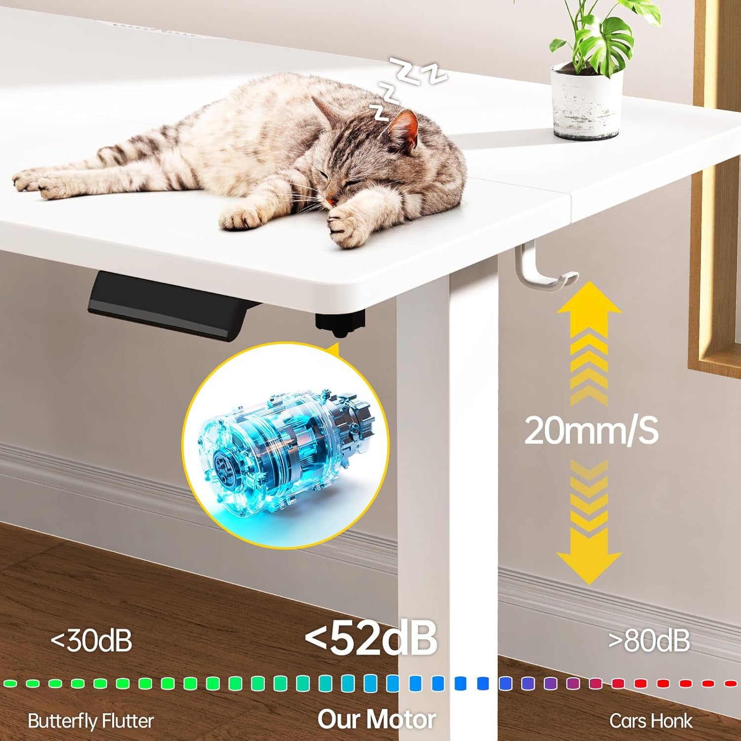 55 Inch Large Electric Standing Desk,Sit to Stand Up, Heights Adjustable, Work Home Office Computer Table for Study, Walking Pad, Writing, and Games, Wooden Desktop Desks, White