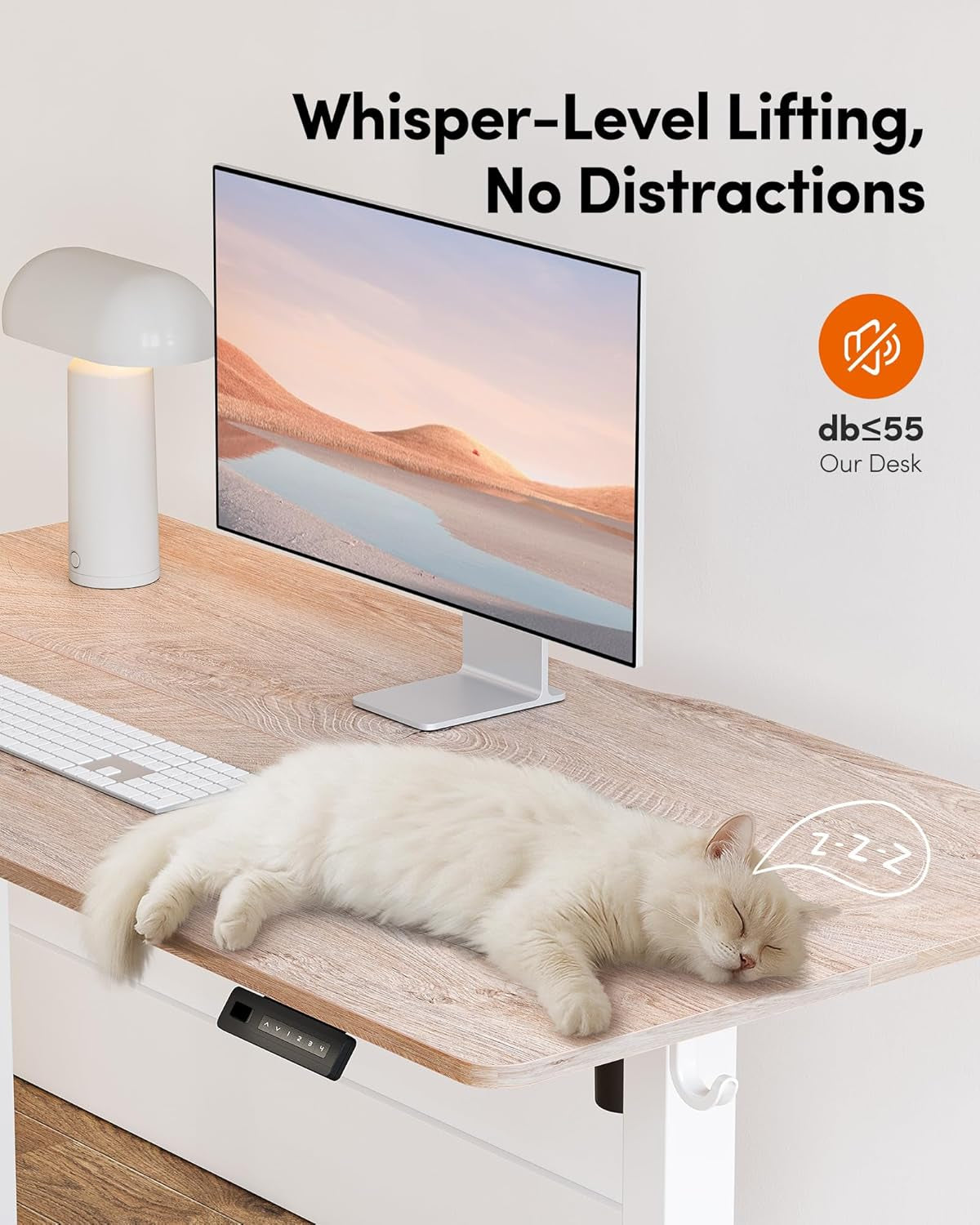 Standing Desk, 48 × 24 Inches Electric Height Adjustable, Sit and Stand Up, Computer Office Desk with Splice Board, White Frame/Maple TOP