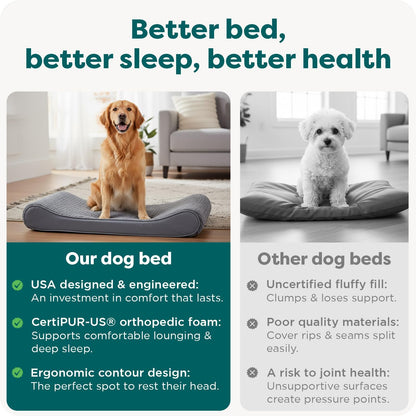 Orthopedic Dog Bed for Large Dogs, Luxe Lounger Contour Mattress with Solid Orthopedic Foam Slab for Joint Support, Removable Washable Cover, Jumbo XL, Plush Suede, Gray