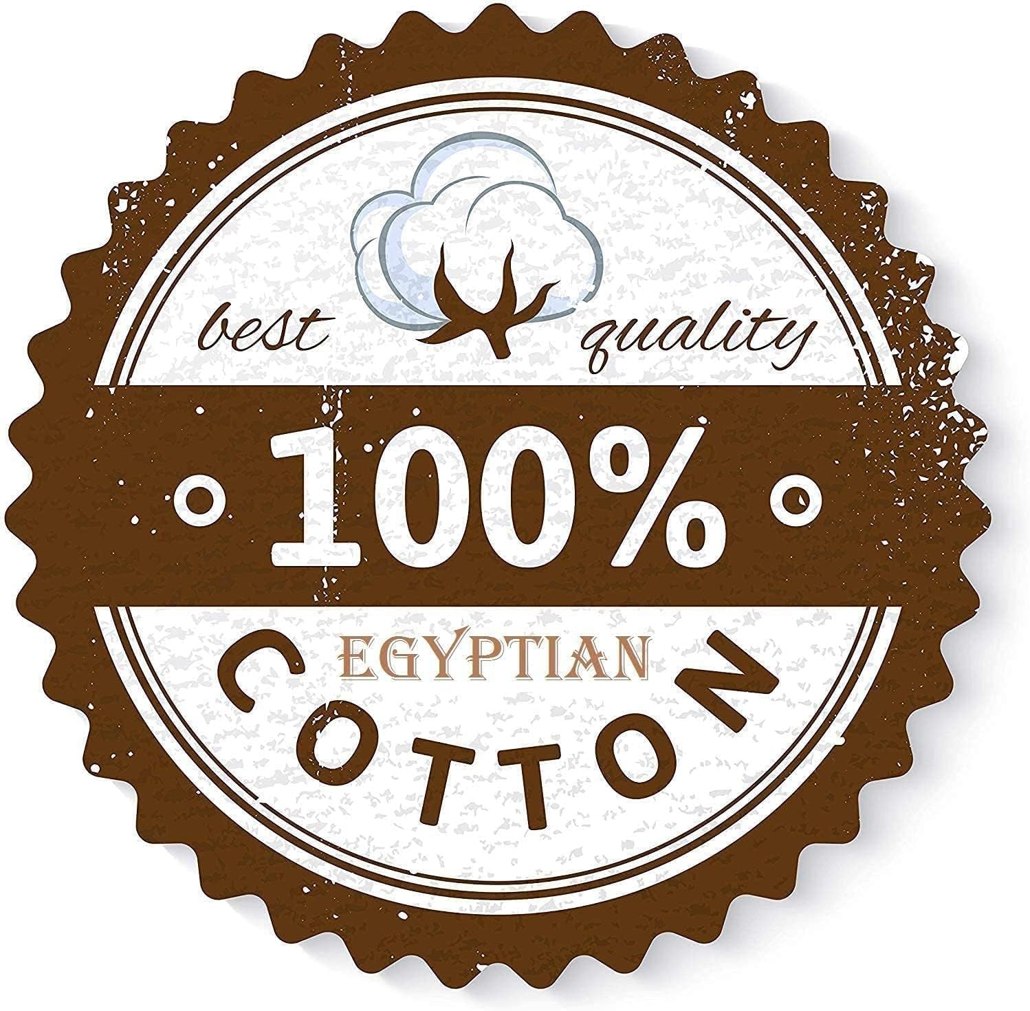 King Pillow Shams Set of 2 White 20X36 Inch – 100% Egyptian Cotton, 2 Inch Flange, Hotel Quality Decorative Pillow Sham Covers with Envelope Closure, Soft Skin Friendly Cushion Cover for Bed