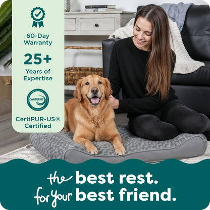 Orthopedic Dog Bed for Large Dogs, Luxe Lounger Contour Mattress with Solid Orthopedic Foam Slab for Joint Support, Removable Washable Cover, Jumbo XL, Plush Suede, Gray
