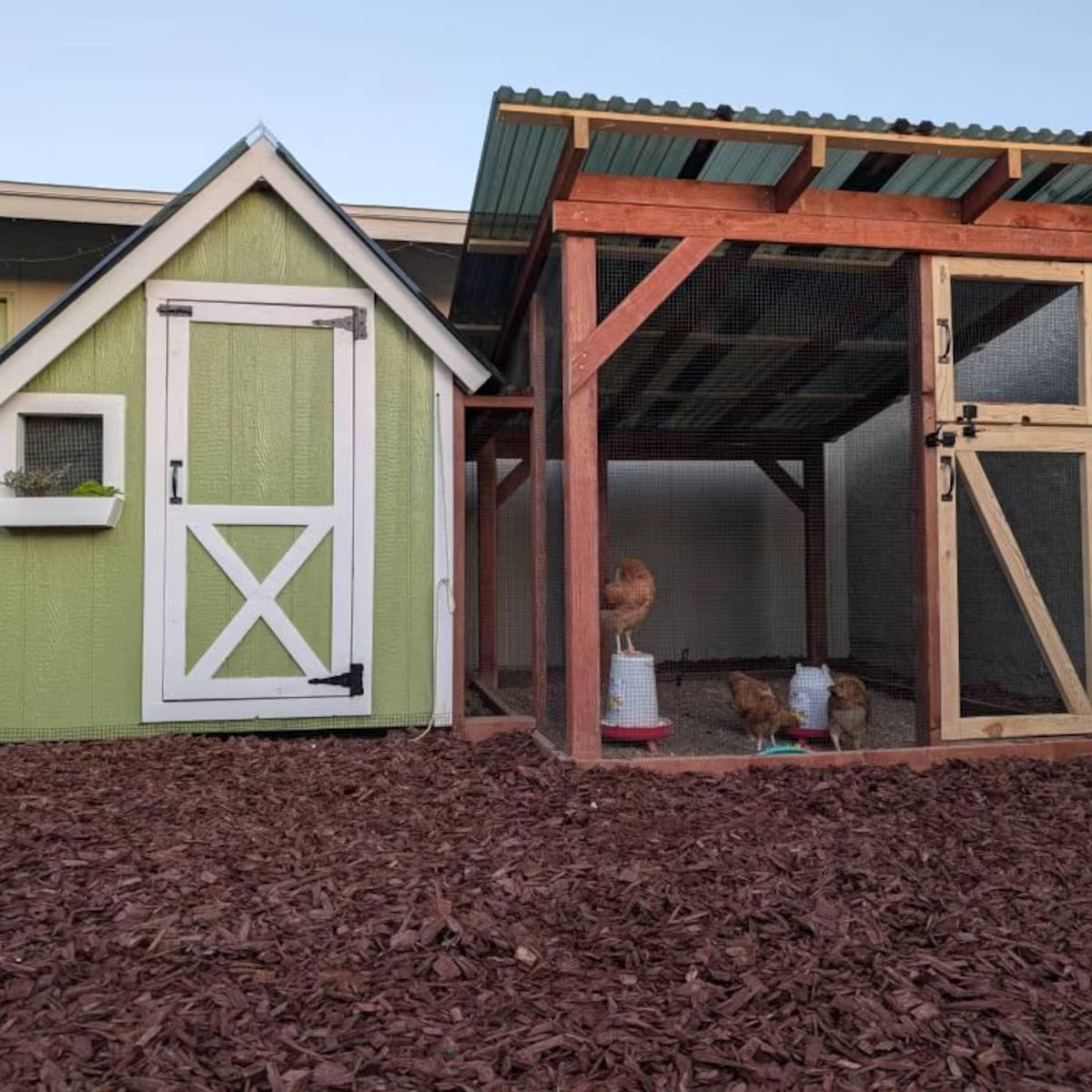 Small green shed with a white door next to a wooden chicken coop with chickens inside.