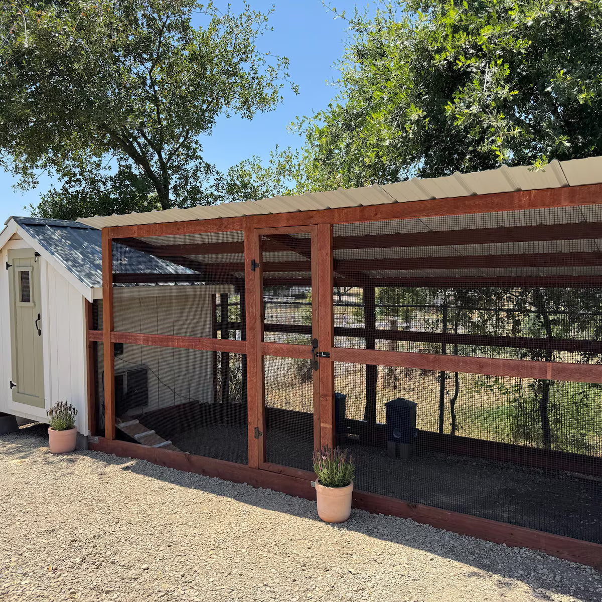 Wooden chicken coop with a small shed in a rural setting